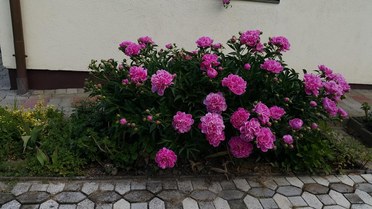 Appartement Marietta Hévíz